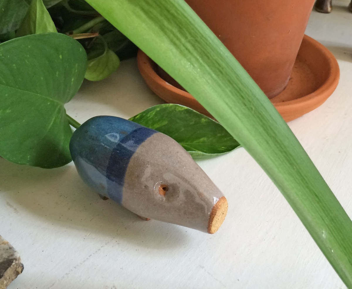 Pax the piggy by Nell Eakin 