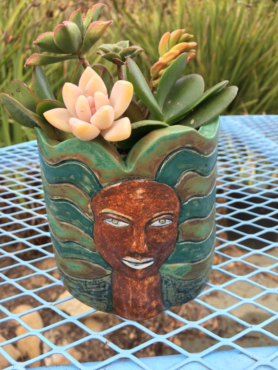 Aloha  succulent pot by Nell Eakin 