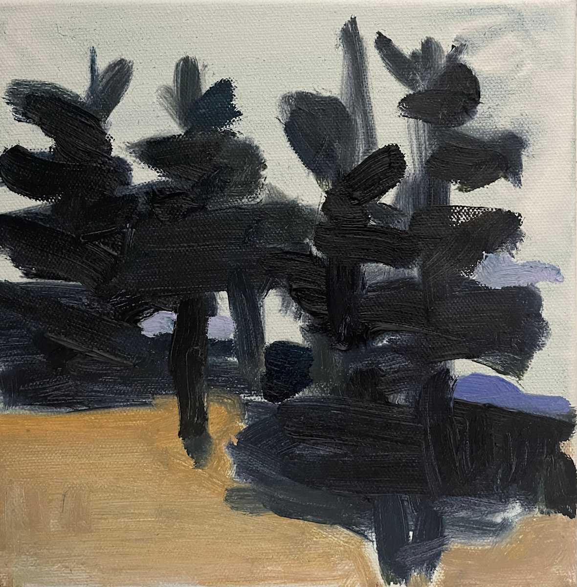 Truro Woods 2 by Helen Grimm, Image 1.