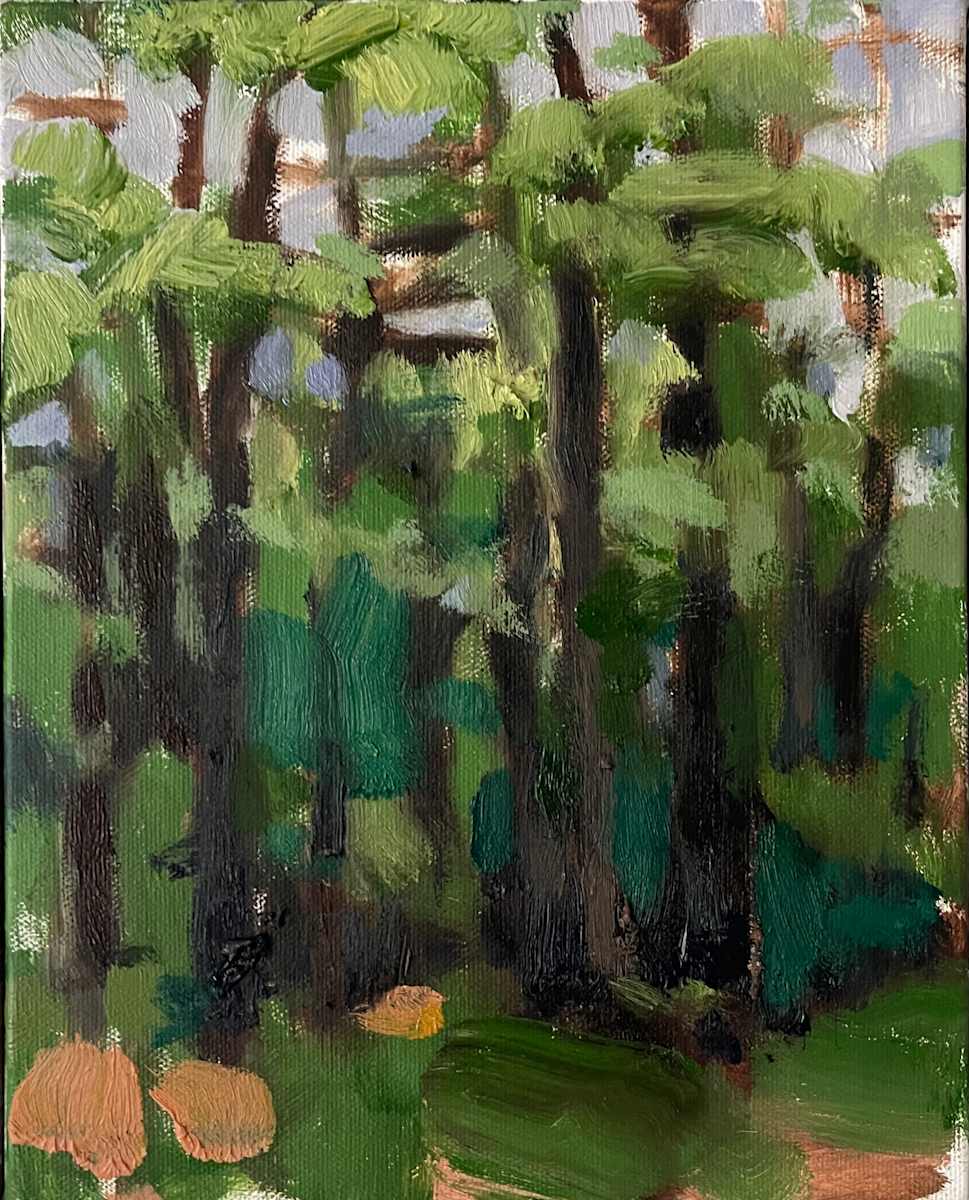 Beech Forest Summer by Helen Grimm 