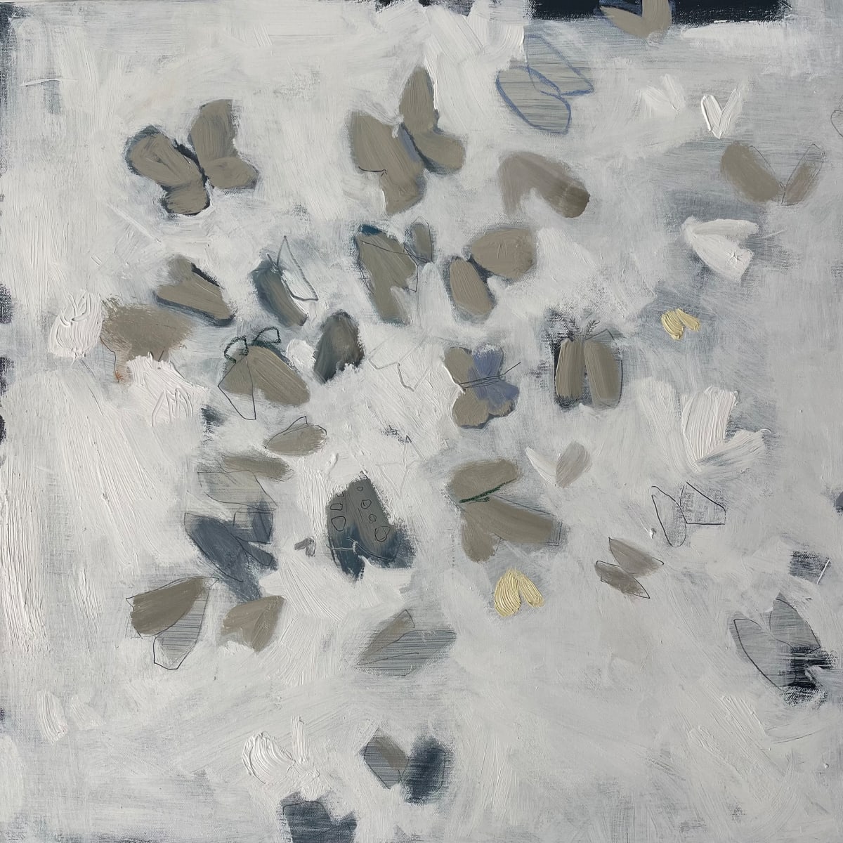 Flutter by Helen Grimm 