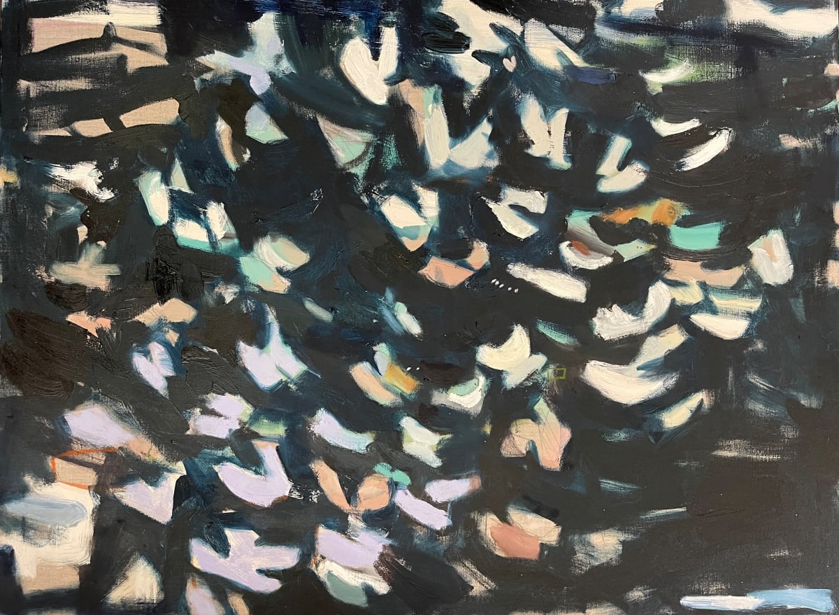 Night Flight by Helen Grimm 