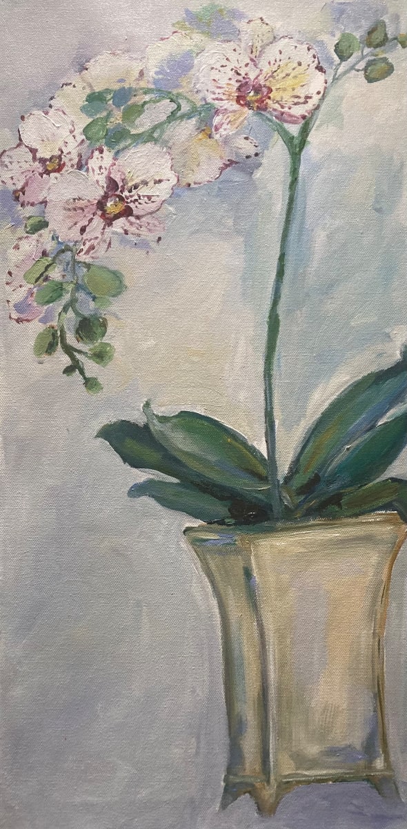 Slightly Spot Sir by Amy B. Carroll 