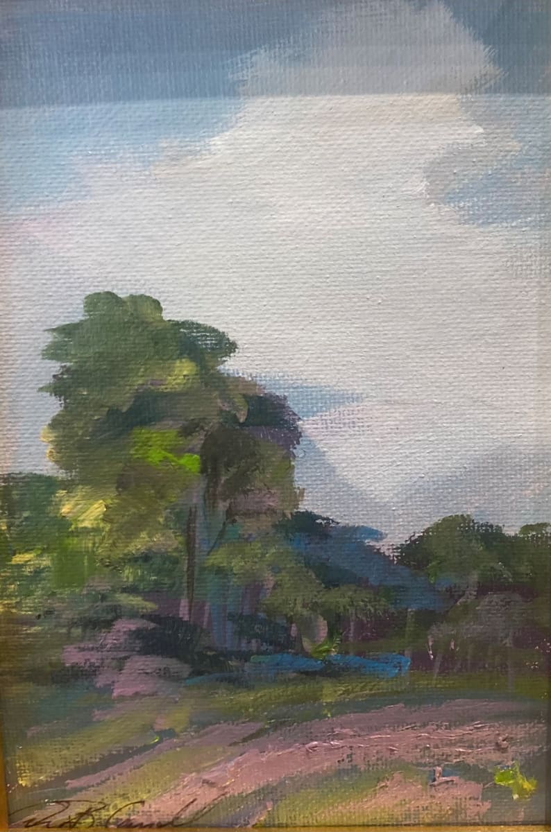Landscape by Amy B. Carroll, Image 4.