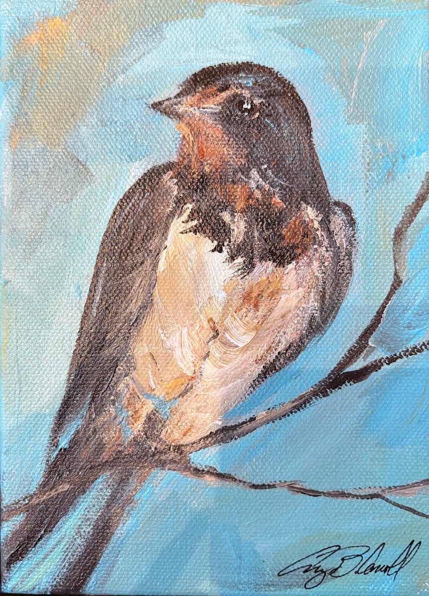 Barn Swallow by Amy B. Carroll 