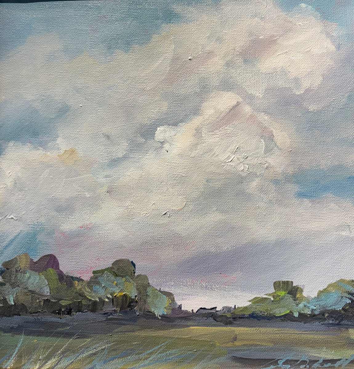Cloudy Indiana Fields by Amy B. Carroll 
