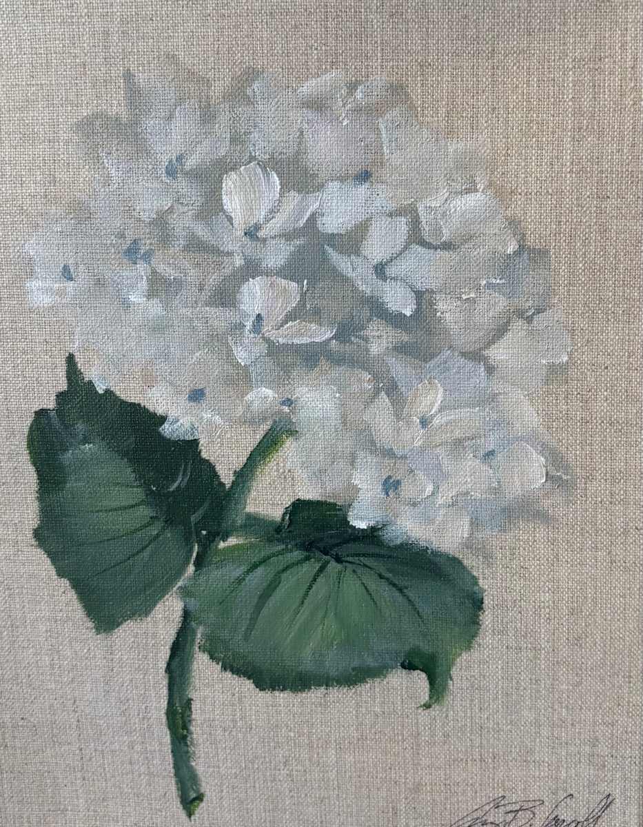 White and Linen by Amy B. Carroll 