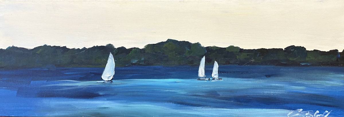 Lake Wawasee by Amy B. Carroll 