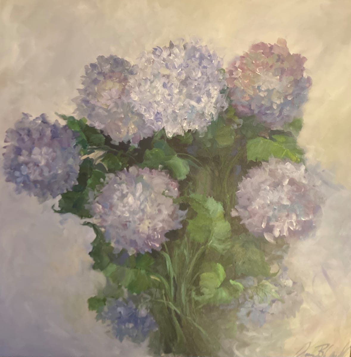 Hydrangeas by Amy B. Carroll 