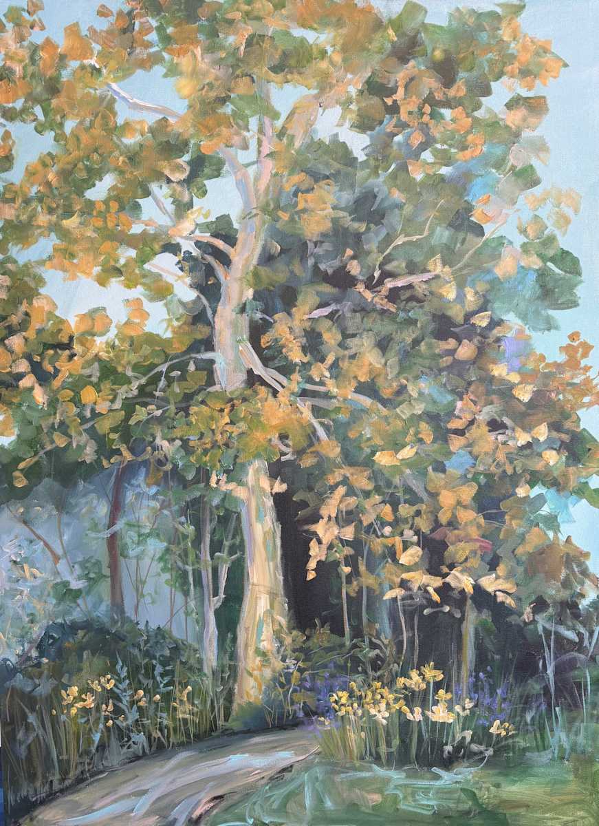 Sycamore at Elm Street Garden by Amy B. Carroll  Image: This piece captures the towering presence of a sycamore tree standing watch at the trailhead of Home Street Park. Painted en plein air, it reflects the quiet magic of an early day walk soft greens, gold dappled leaves, and the gentle curve of the path guiding the eye into the scene. The work was completed just before an unexpected rain shower, preserving the fleeting moment when light and shadow played across the trail.
