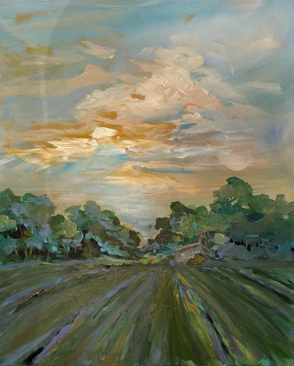 Where Light Breaks by Amy B. Carroll  Image: A gentle glow spreads across the sky as morning light lifts over quiet rows of field and the sheltering curve of trees. Brushstrokes of gold, blue, and soft green drift together, capturing the moment the day begins to open. This painting holds a quiet rhythm—the steady pull of the land, the shimmer of the sky, and the peaceful breath of a scene awakening out of the blue.