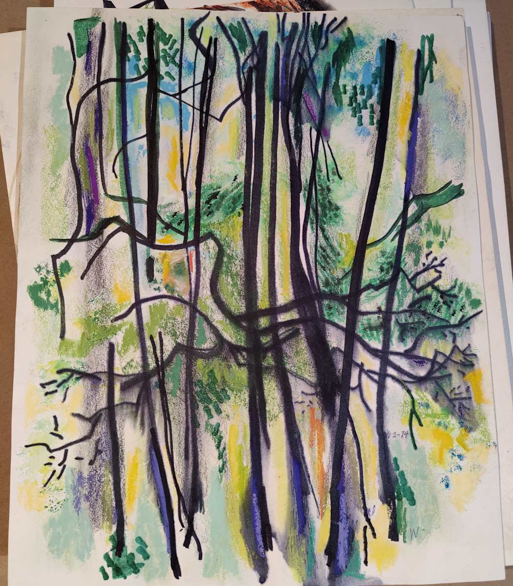 Untitled or unknown title, described as Woods Reflection by Esther Webster, Image 1.