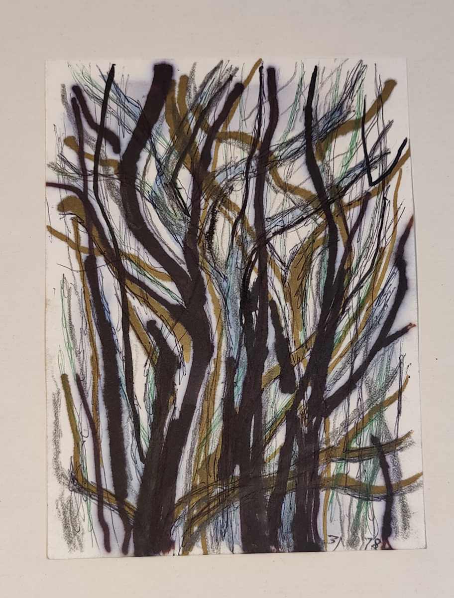 Untitled or unknown title, described as Tree Sketch by Esther Webster, Image 1.