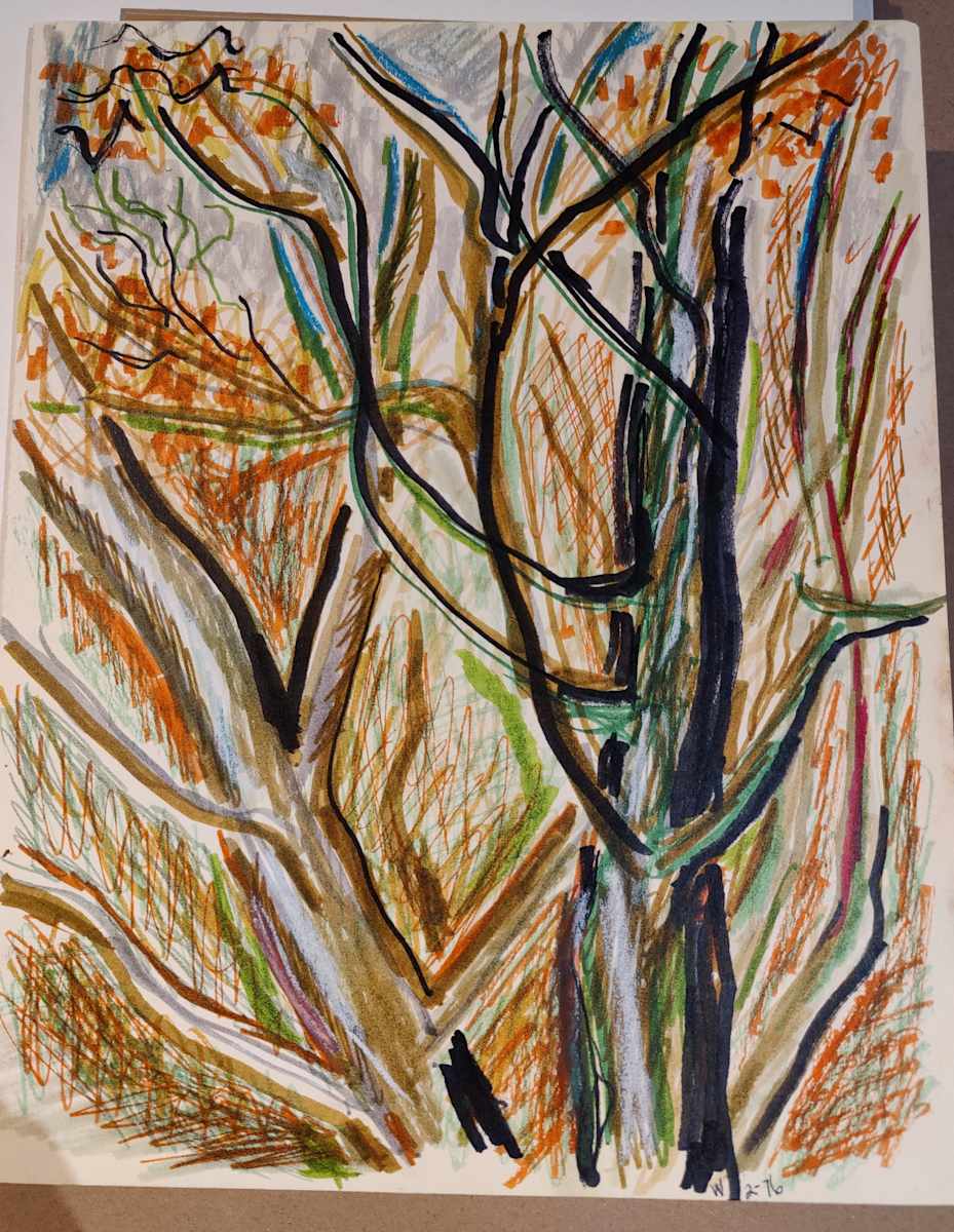 Tree Study 5-Fall, Image 1.