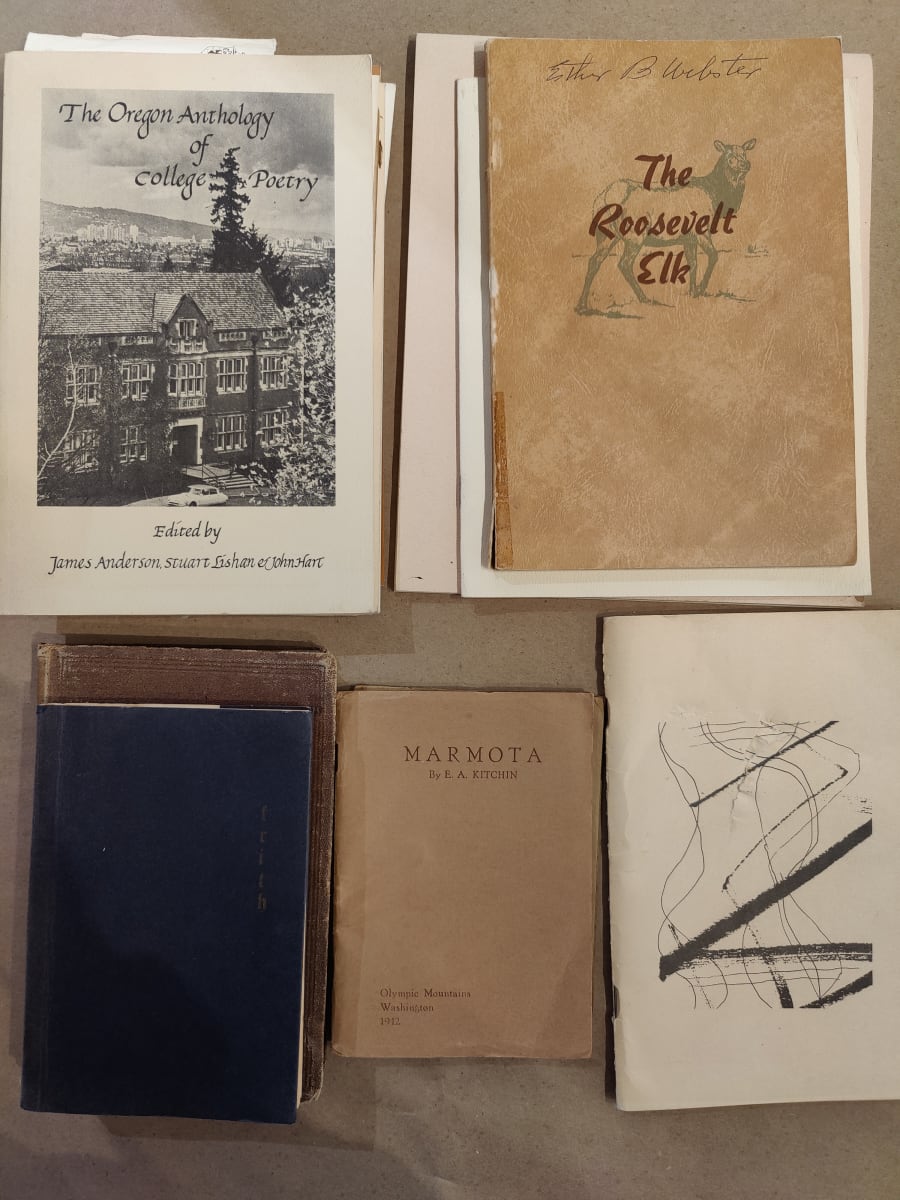 Esther's Books by Esther Webster, Image 1.