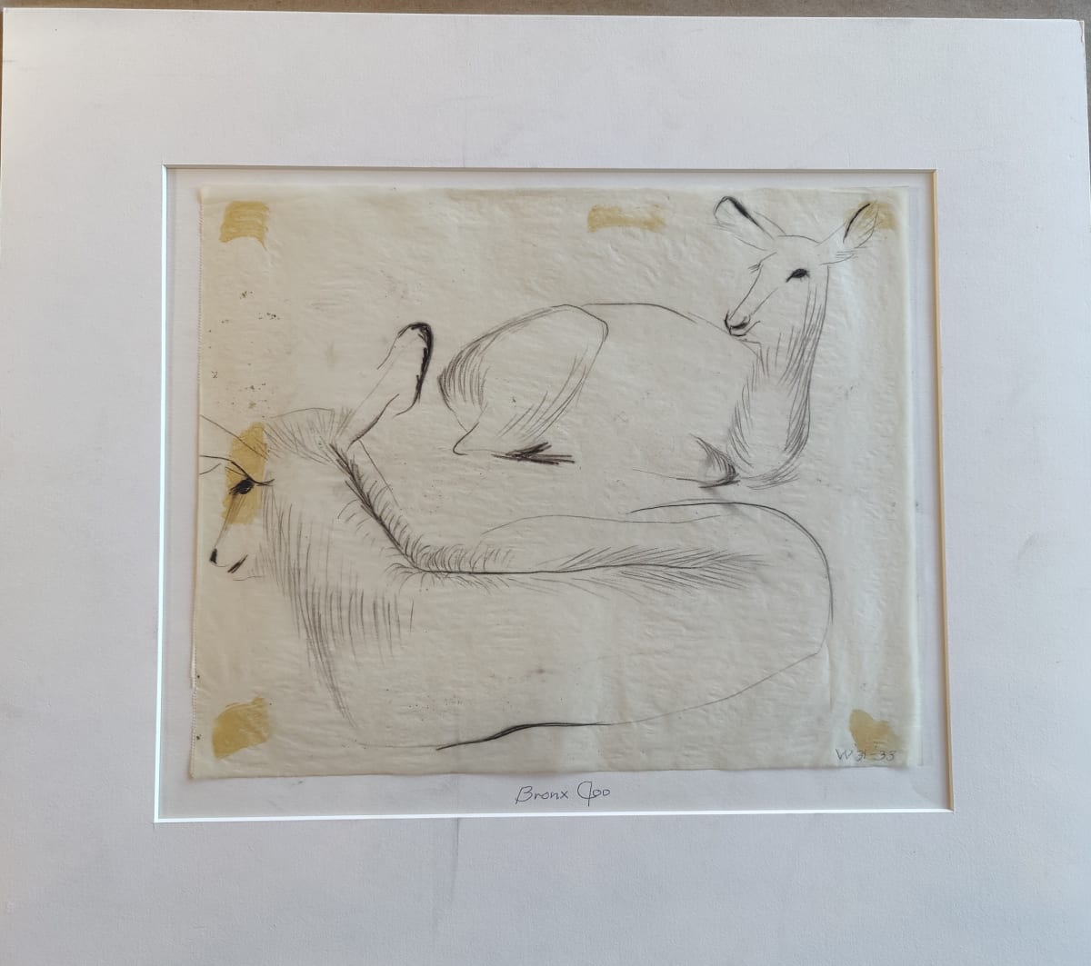 Bronx Zoo by Esther Webster, Image 5.