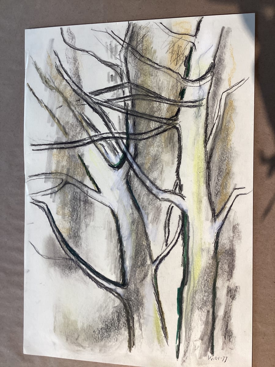 Tree Study #2 by Esther Webster, Image 1.