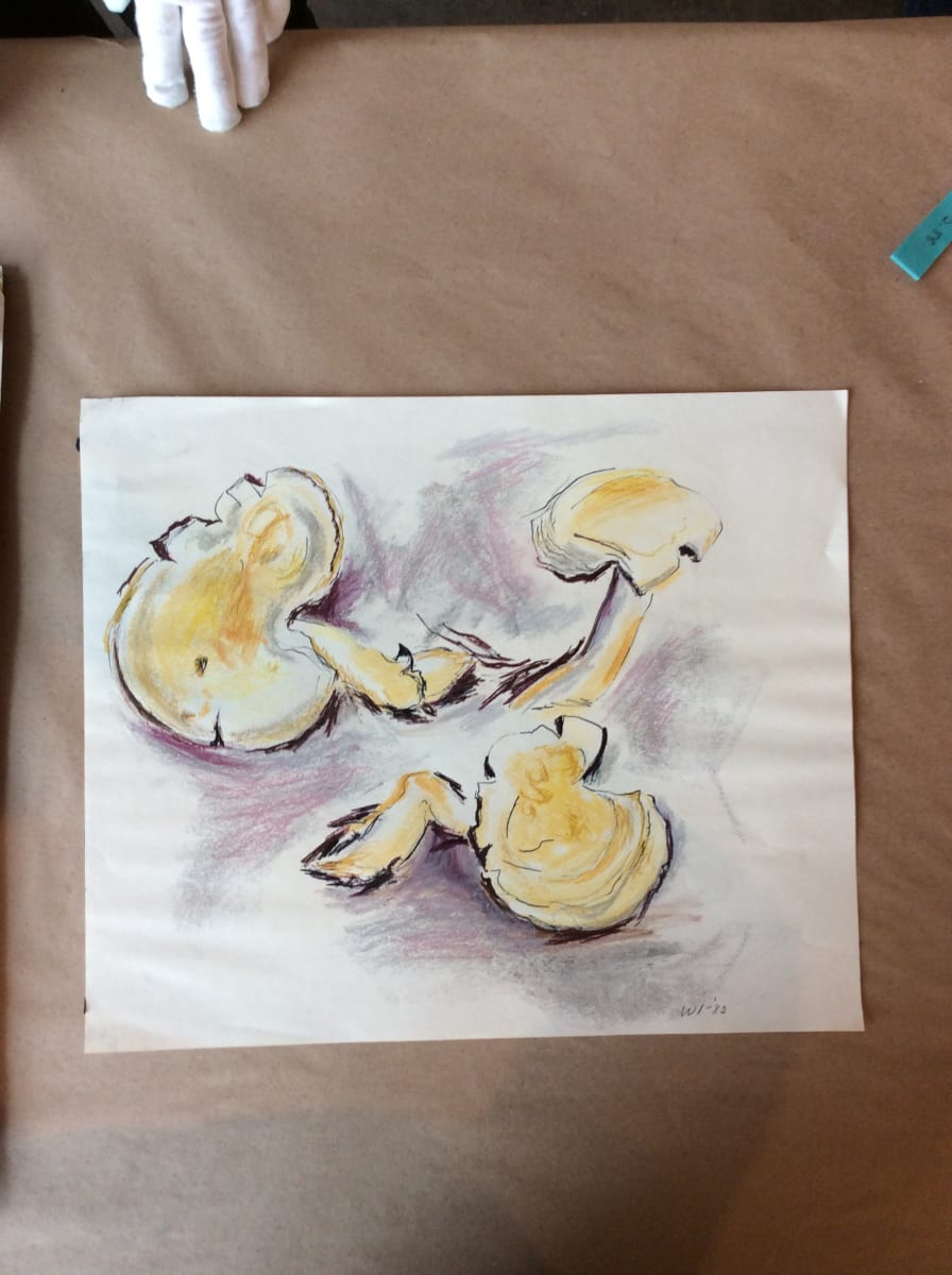 Untitled or unknown title, described as Mushrooms by Esther Webster, Image 1.