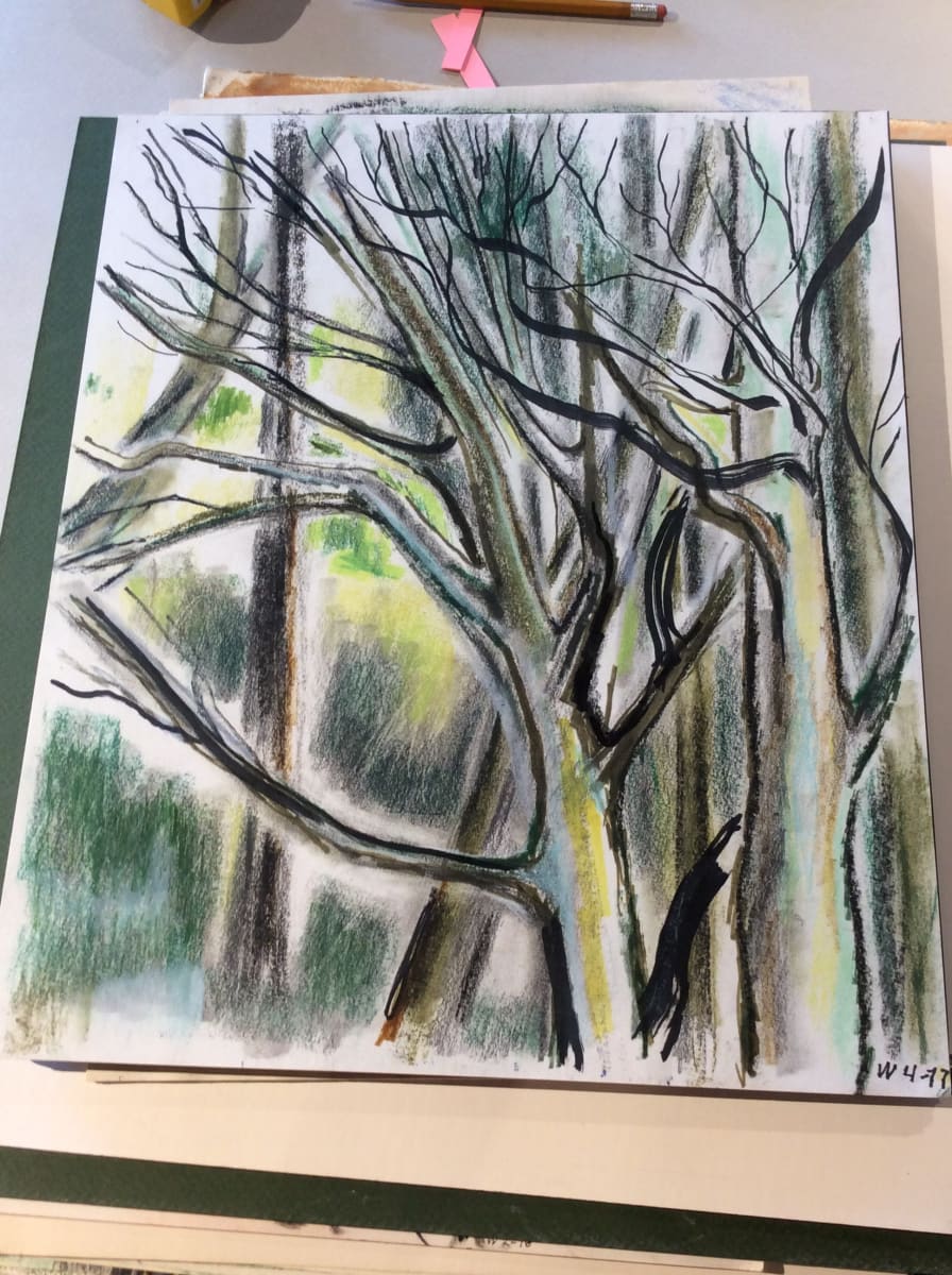 Untitled by Esther Webster  Image: Trees