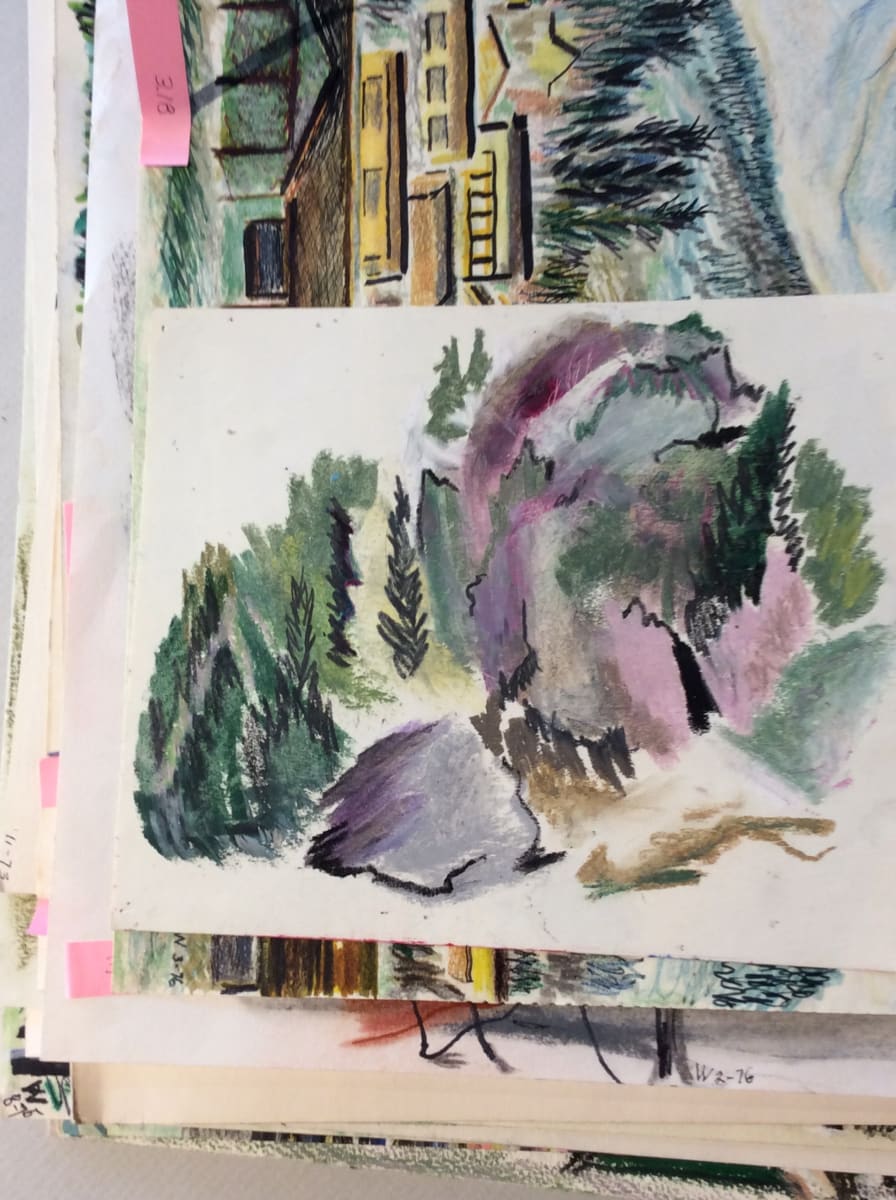 Untitled or Unknown Title, described as forest scene by Esther Webster  Image:  Boulders and trees 