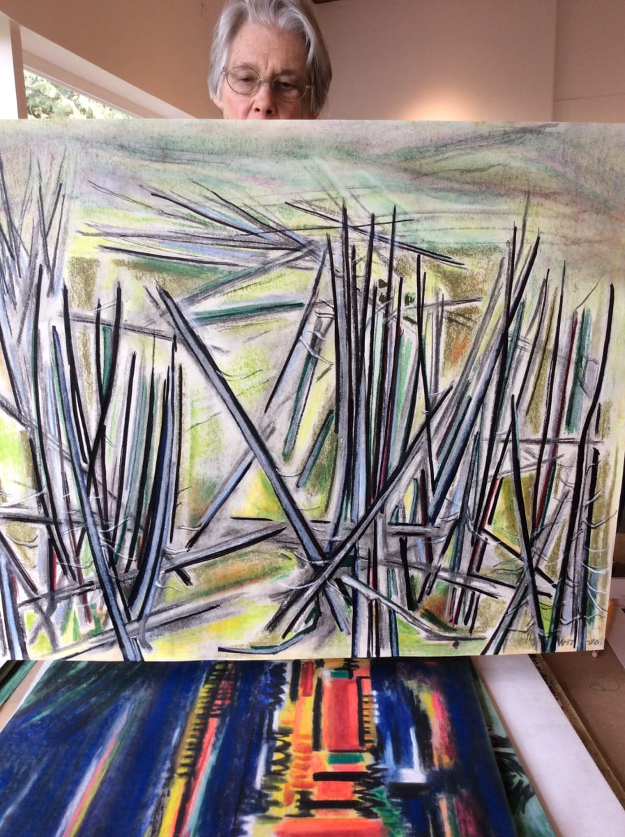 Untitled or unknown title described as blow down trees by Esther Webster 