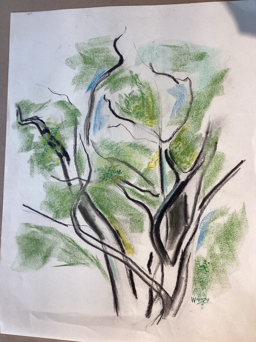 Tree Study #6 - Spring by Esther Webster 