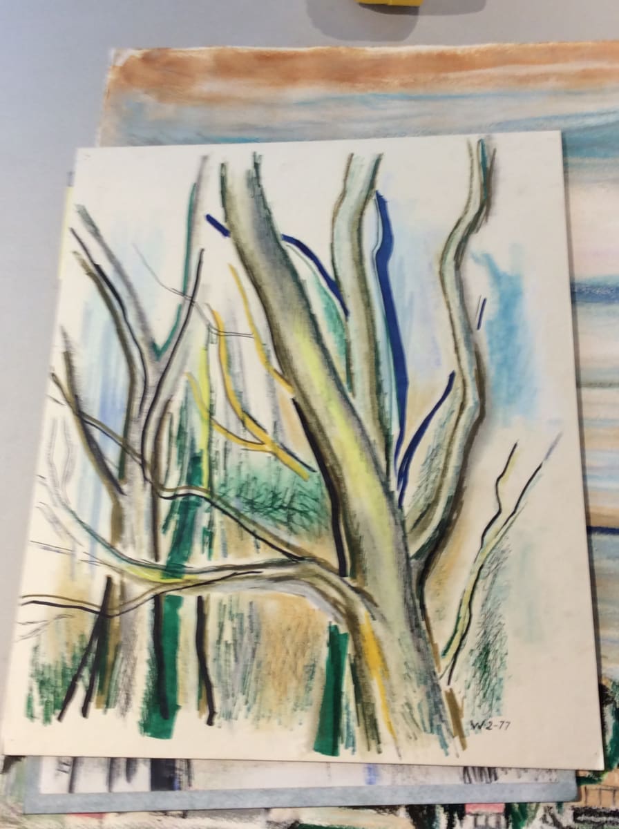 Tree Study #1 by Esther Webster 