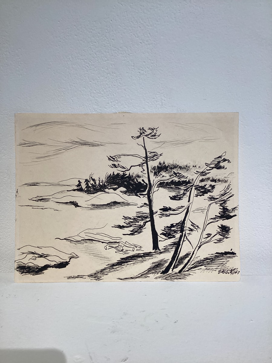 Beech tree by Esther Webster 