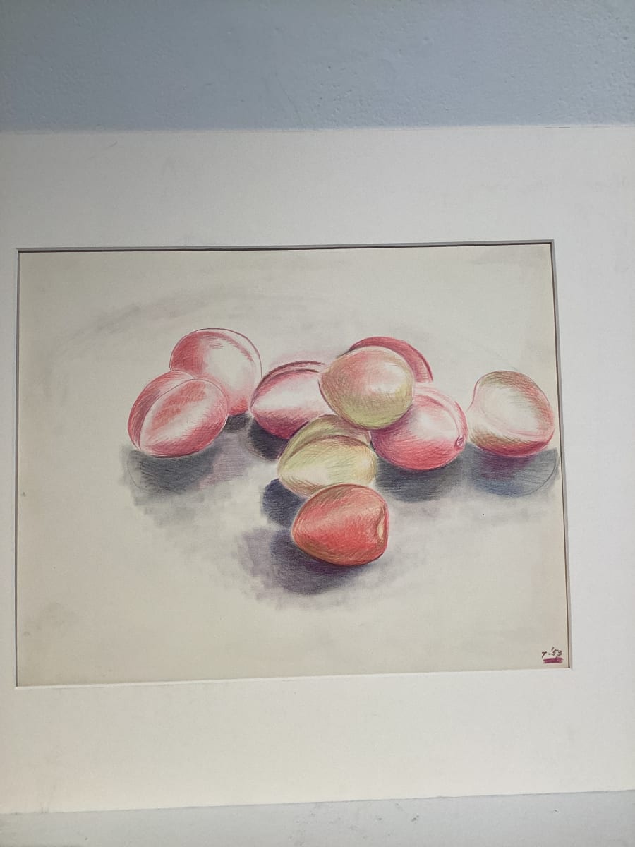 Colored Pencil (Plums) by Esther Webster 
