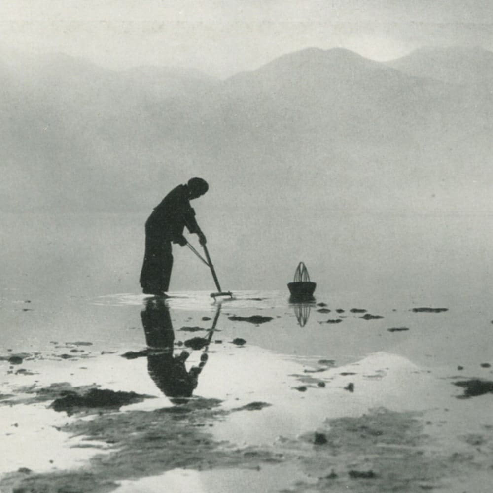 Shell Picker 1951 by Che Lucky, Image 2.