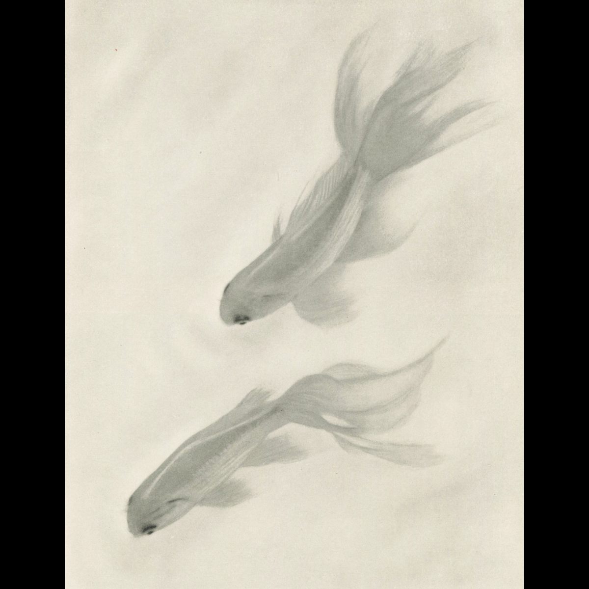 Fairy Gold 1951 by Cheung Yu Chiu 