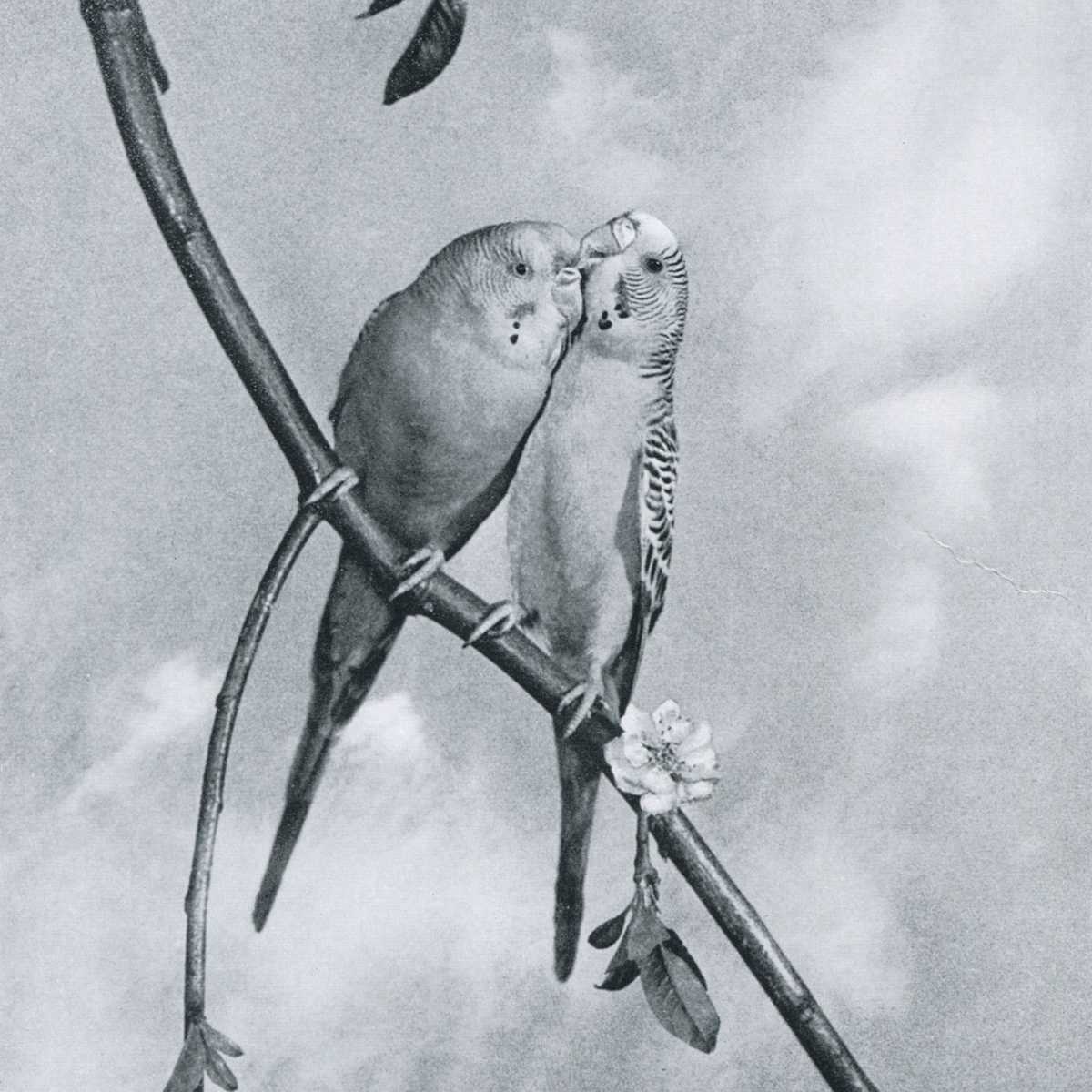 Intimate Partners 1958 by Chew K C 