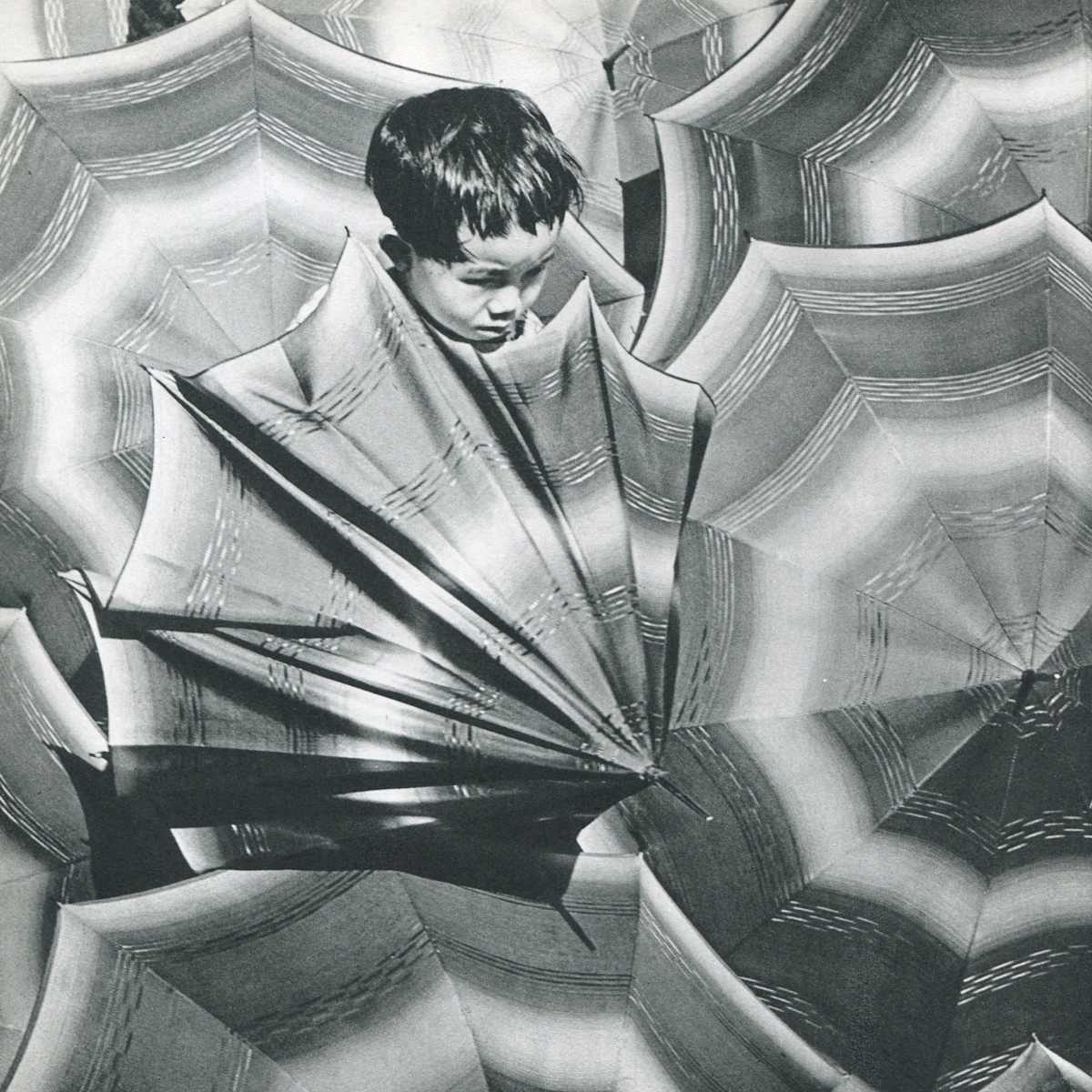 Umbrella Display 1961 by Chow Chung Lim, Image 3.