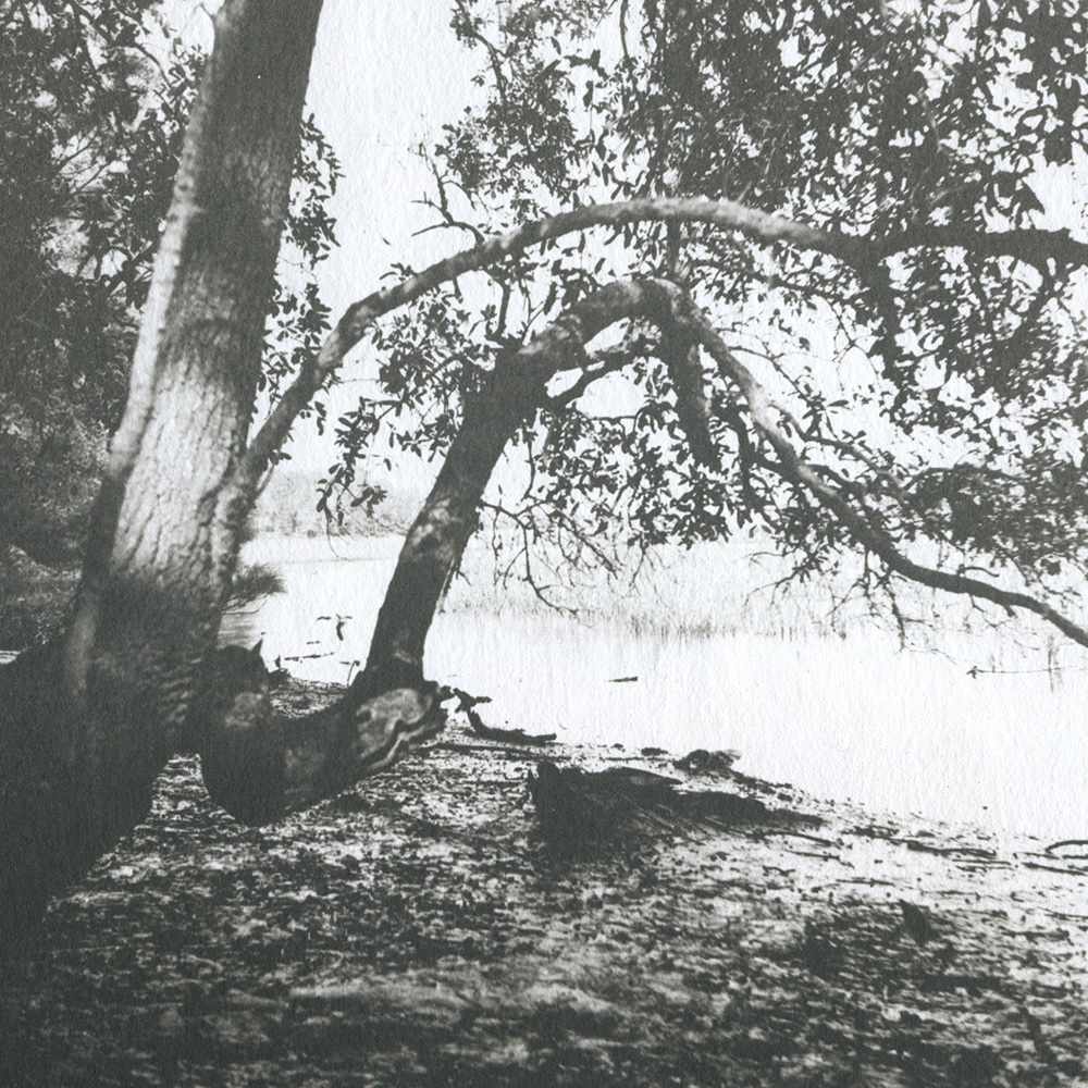Holga Landscape V by Mark Eshbaugh, Image 1.