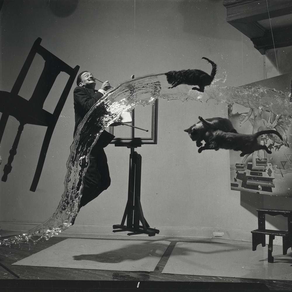 Dali Atomicus 1948 by Philippe Halsman 