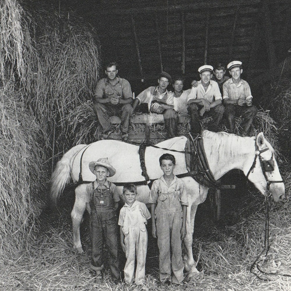 The Barn 1941 by Dorothea Lange, Image 4.