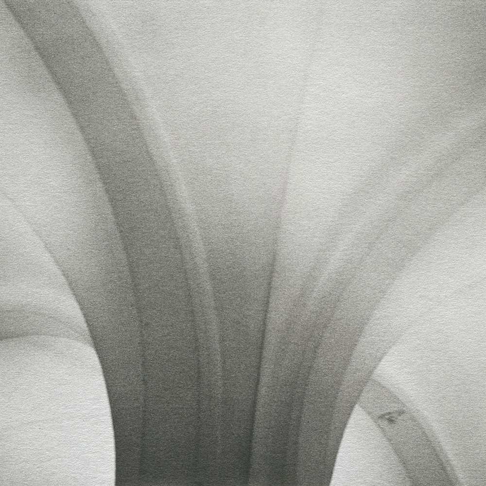 Ceiling, Amsterdam by Tom Millea, Image 1.