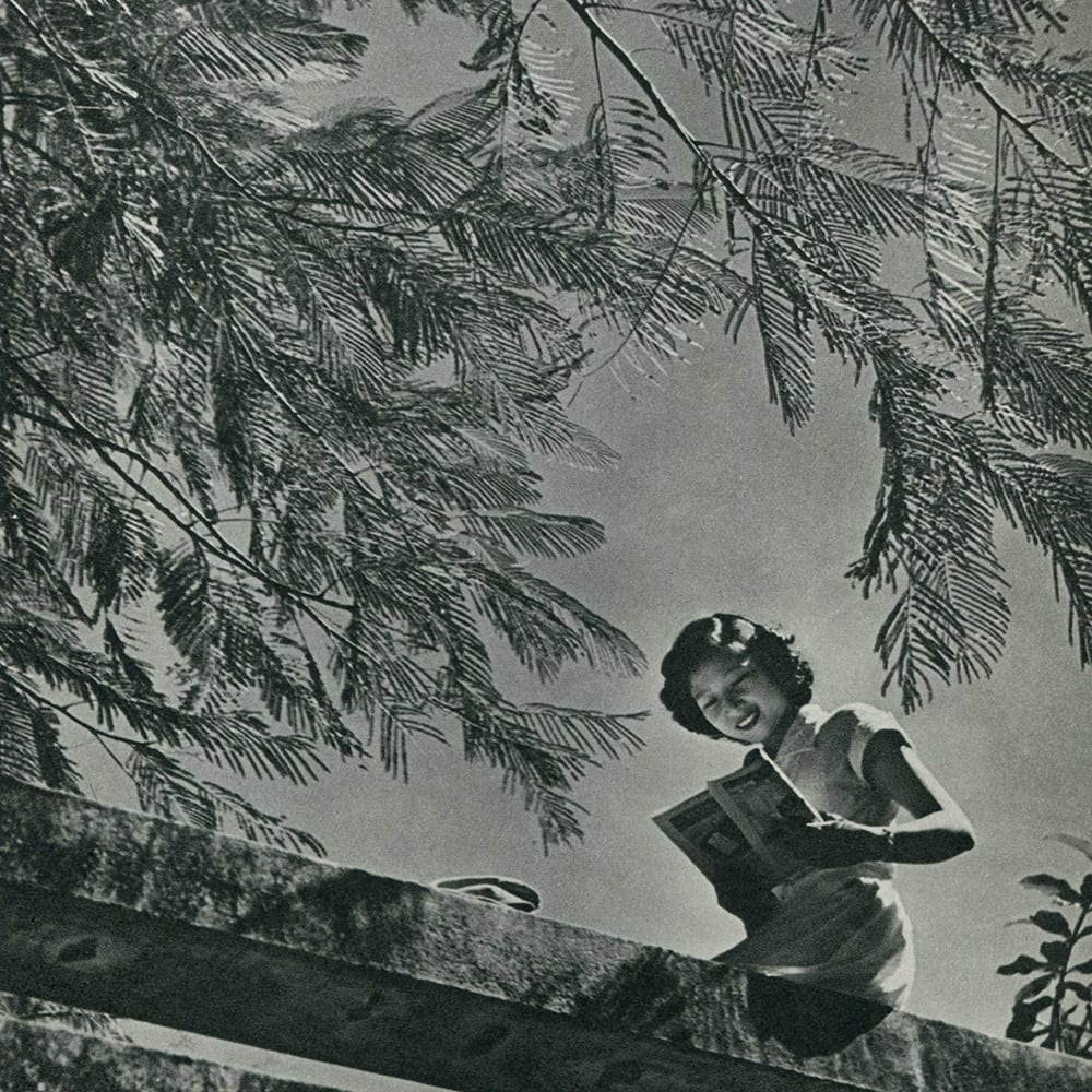 Autumn 1953 by Pun Yet Pore, Image 3.