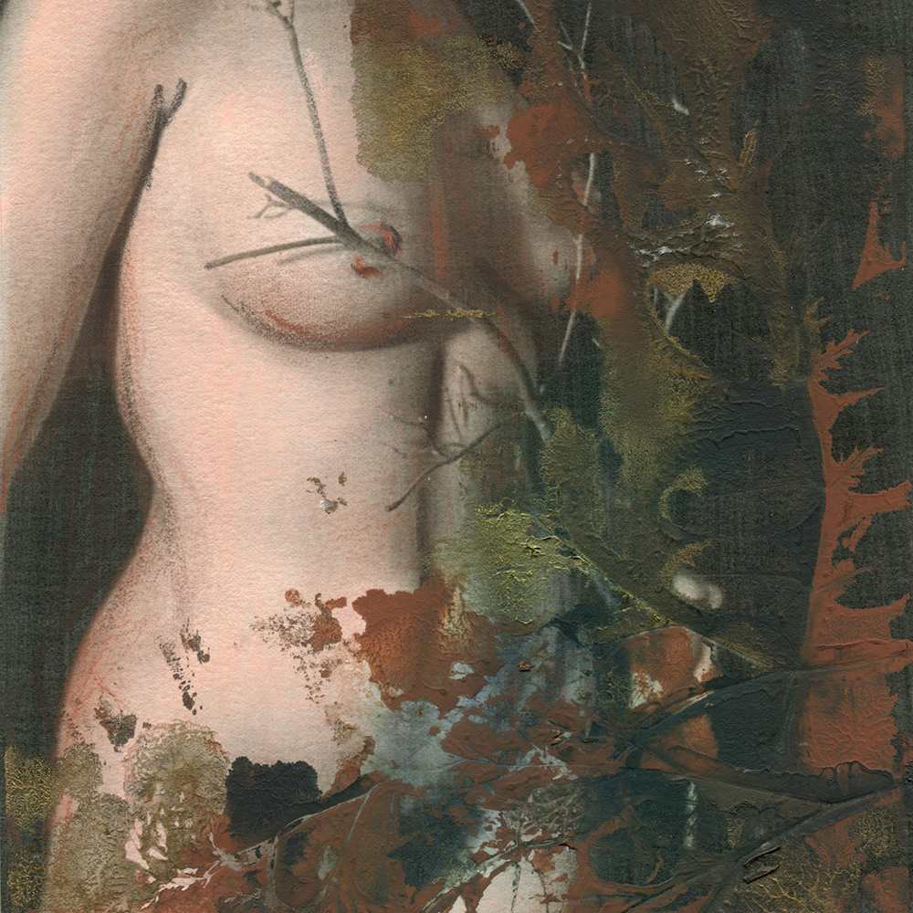 Nude Study #205 by Ruth Robertson  Image: Detail