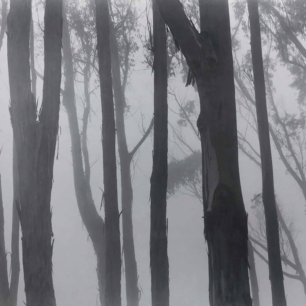 Cambria Pines by Robert Werling 