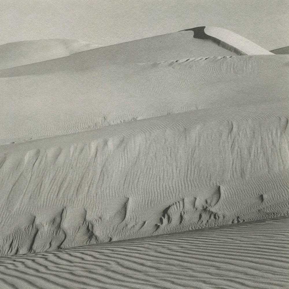 Dunes, Oceano 1936 by Edward Weston, Image 4.