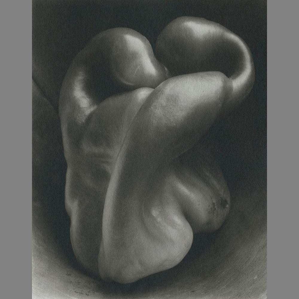Pepper No.30 by Edward Weston 