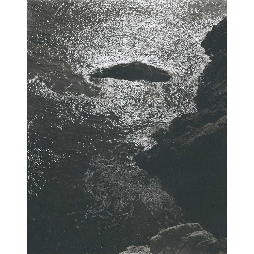 China Cove, Point Lobos 1940 by Edward Weston, Image 4.
