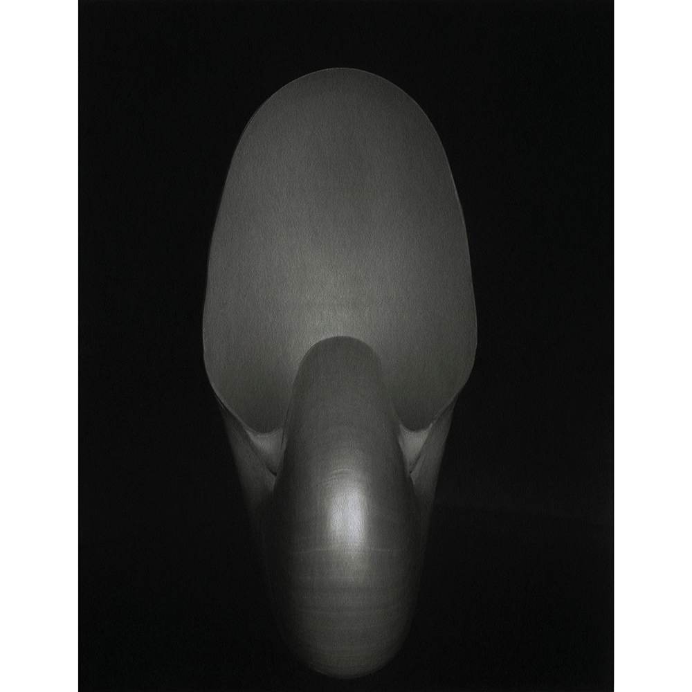 Shell 1927 - Nautilus by Edward Weston, Image 4.