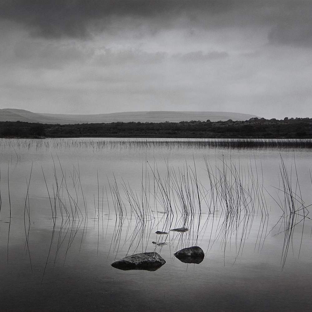 Lough Bunny by John Wimberley 