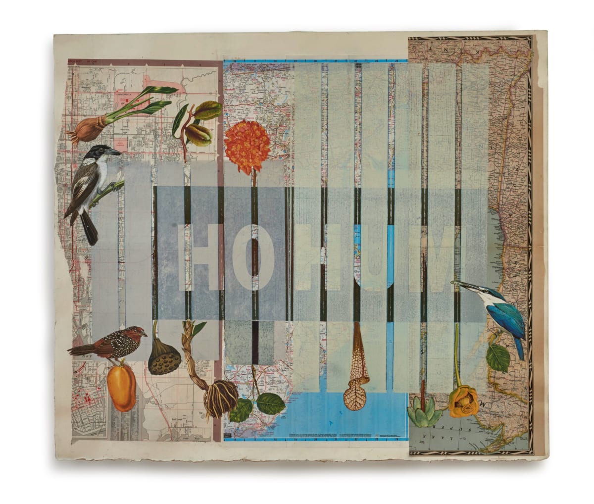 Ho  Hum by E L Schmidt, Image 1.