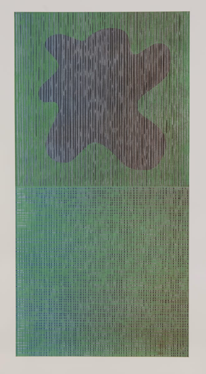 Chaga spore by E L Schmidt  Image: Warp and Weft series III / Life Forms and remembrances