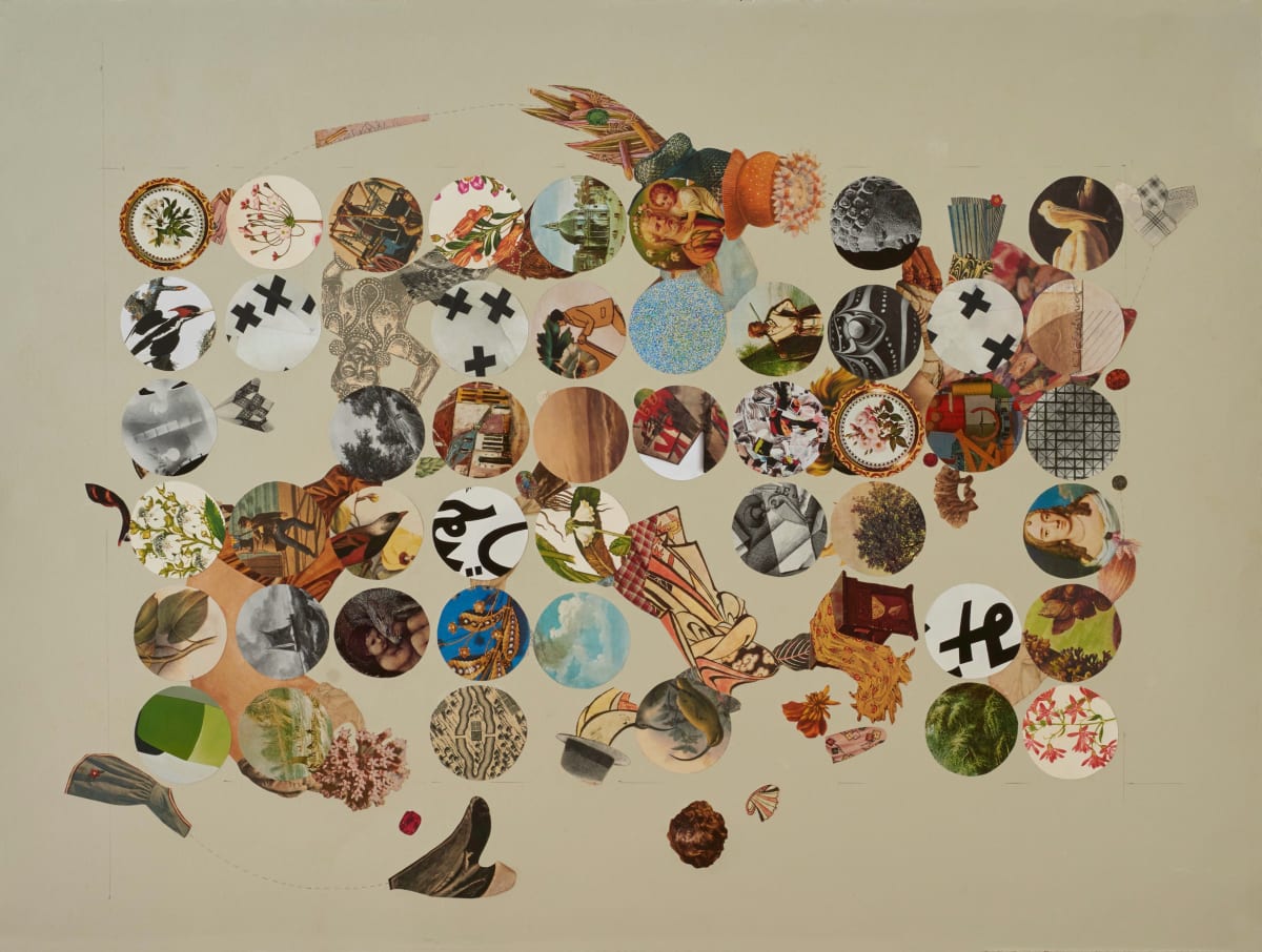 Compound Eye by E L Schmidt 