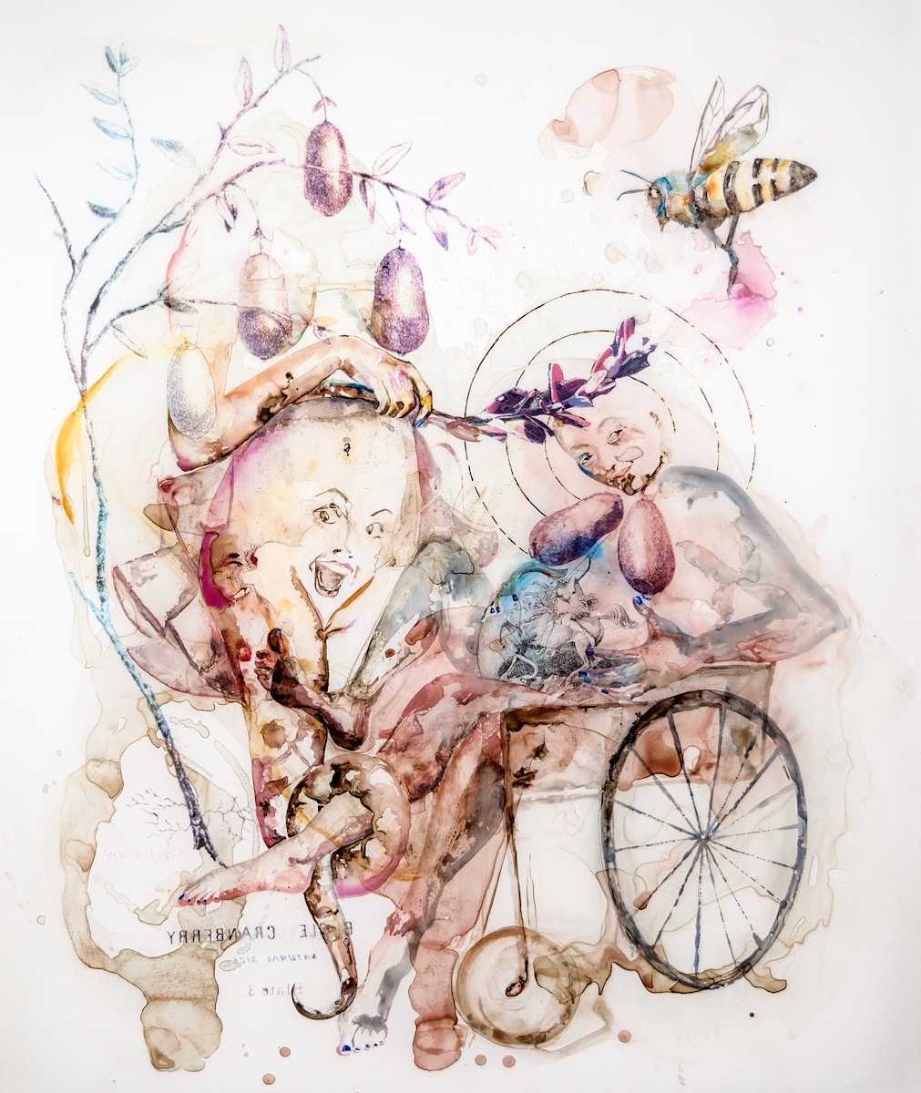 Skinnamarossa mimosa oncini by Alexandra Carter, Image 3.