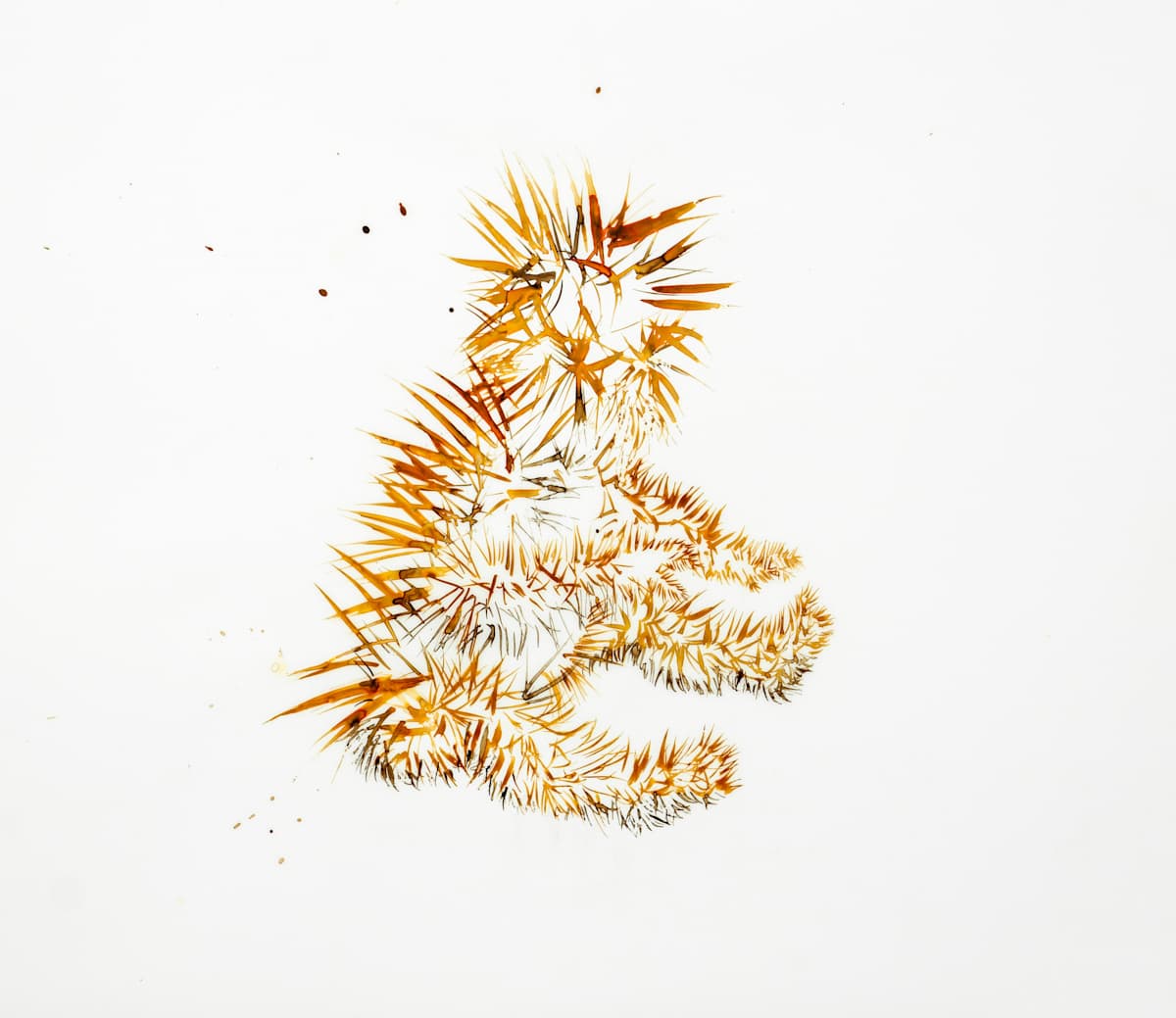 LO by Alexandra Carter, Image 2.